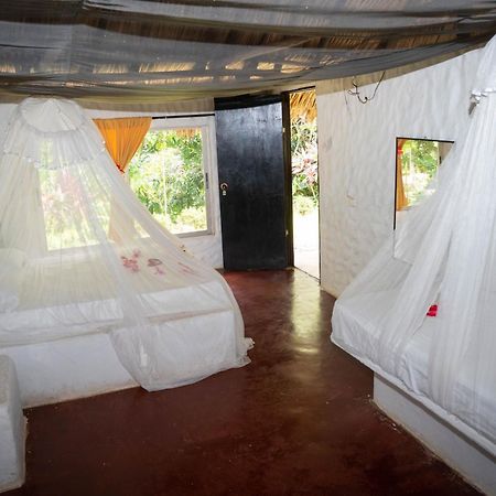 Taironaka Eco Hotel Don Diego Luaran gambar