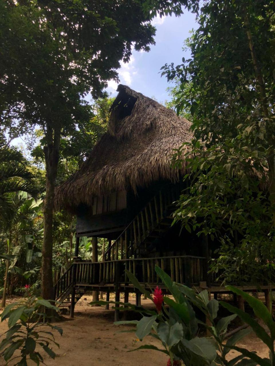 Taironaka Eco Hotel Don Diego Luaran gambar