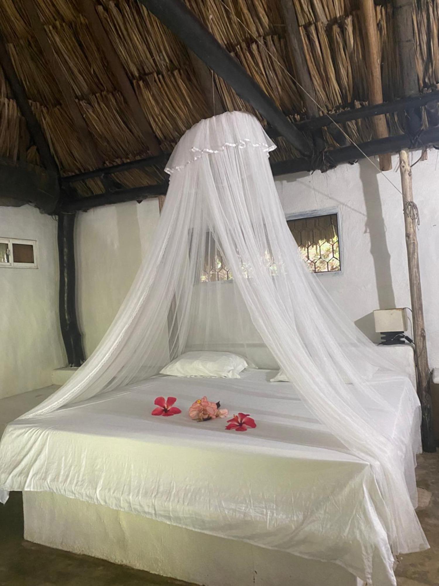Taironaka Eco Hotel Don Diego Luaran gambar